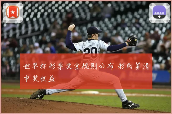 世界杯彩票奖金规则公布 彩民算清中奖收益