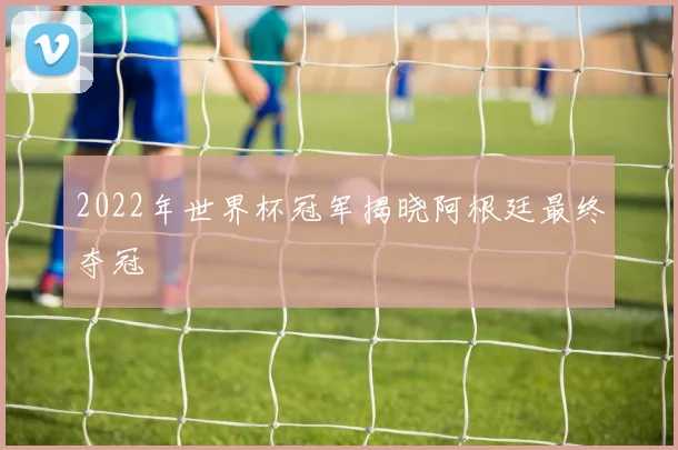 2022年世界杯冠军揭晓阿根廷最终夺冠