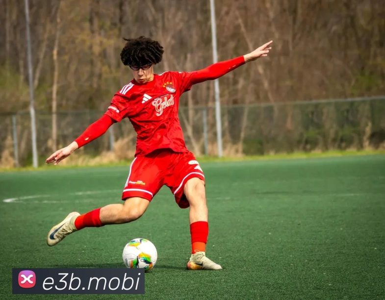 开云手机站官方版网站登录入口 - 开云(中国)服务体系